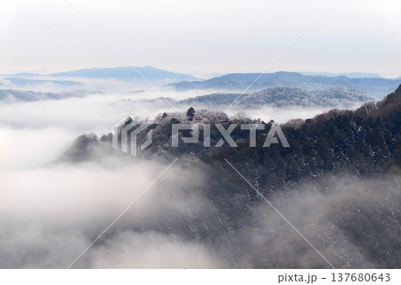 冬の雲海と備中松山城（天空の山城）25406 137680643