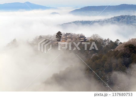 冬の雲海と備中松山城(天空の山城)25160 冬の雲海と備中松山城(天空の山城)25160 137680753