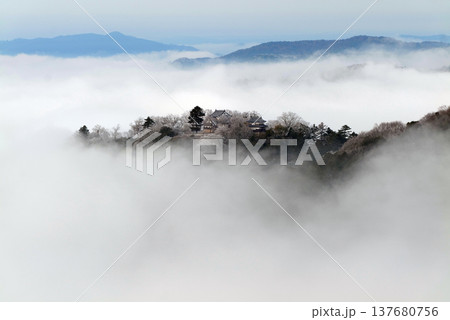 冬の雲海と備中松山城（天空の山城）25168 137680756