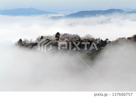 冬の雲海と備中松山城（天空の山城）25171 137680757