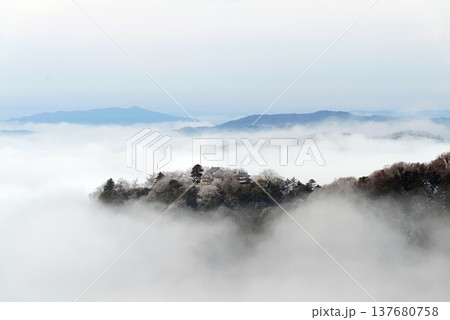 冬の雲海と備中松山城(天空の山城)25175 冬の雲海と備中松山城(天空の山城)25175 137680758