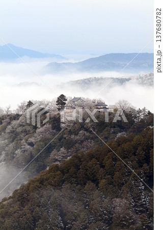 冬の雲海と備中松山城（天空の山城）25239 137680782