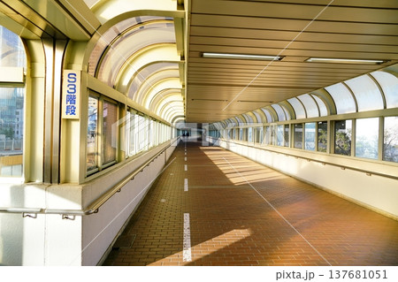 東京の歩行者道路 東京の歩行者道路 137681051