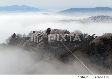 冬の雲海と備中松山城(天空の山城)25092 冬の雲海と備中松山城(天空の山城)25092 137681150