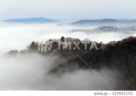 冬の雲海と備中松山城(天空の山城)25105 冬の雲海と備中松山城(天空の山城)25105 137681155