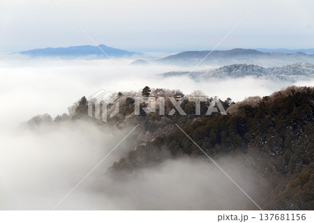 冬の雲海と備中松山城（天空の山城）25108 137681156