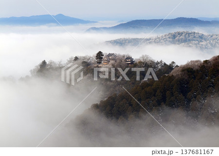 冬の雲海と備中松山城(天空の山城)25135 冬の雲海と備中松山城(天空の山城)25135 137681167