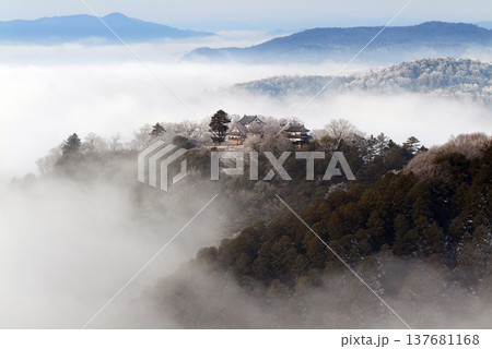 冬の雲海と備中松山城（天空の山城）25137 137681168