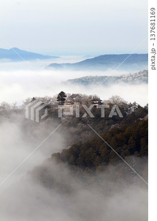 冬の雲海と備中松山城(天空の山城)25138 冬の雲海と備中松山城(天空の山城)25138 137681169