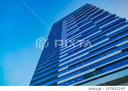 豊洲のタワービル 137681243