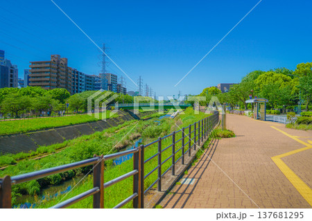 新横浜の風景(新横浜公園) 新横浜の風景(新横浜公園) 137681295