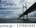 大黒ふ頭 137681445