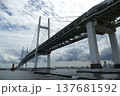 大黒ふ頭 137681592