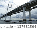 大黒ふ頭 137681594