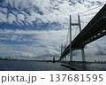 大黒ふ頭 137681595