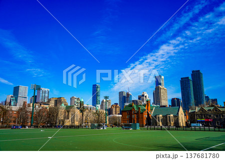 冬のトロント市街 冬のトロント市街 137681780