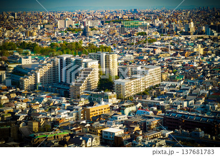 密集した都市の建物 密集した都市の建物 137681783