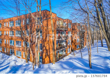 森の中のアパート 137681784