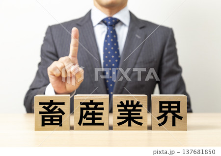 「畜産業界」と書かれたブロックとビジネスマン 137681850