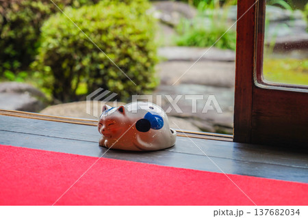 縁側に置かれた猫の蚊取り線香 137682034