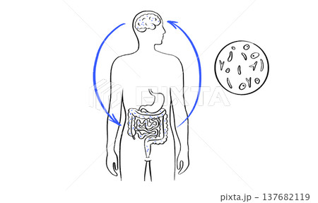 Gut Brain Connection Gut Brain Connection 137682119