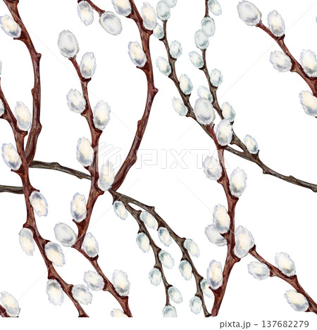 Seamless watercolor pattern with blooming pussy willow branches. Soft hand painted botanical texture of Easter celebration and wedding decor for invitations, stationery, fabric printing, wrapping 137682279