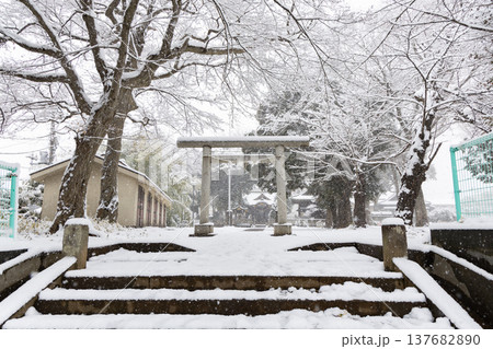 春日神社の雪風景＜東京都練馬区春日町＞ 137682890
