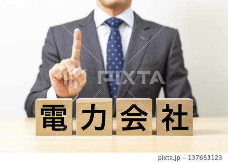 「電力会社」と書かれたブロックとビジネスマン 137683123