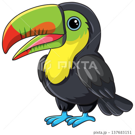 Cute Cartoon Keel-Billed Toucan Vector Illustration on White Background Cute Cartoon Keel-Billed Toucan Vector Illustration on White Background 137683151