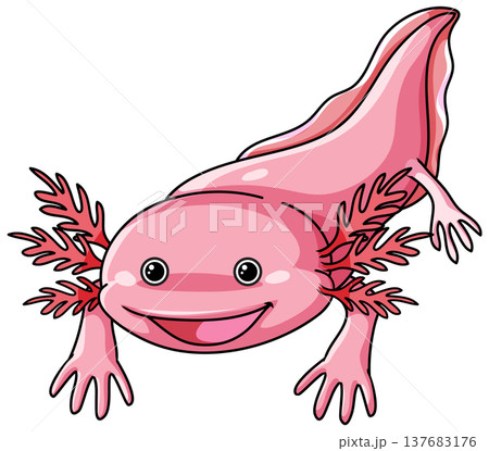 Cute Pink Axolotl Vector Illustration Isolated on White Background Cute Pink Axolotl Vector Illustration Isolated on White Background 137683176