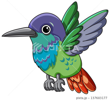 Cute Colorful Hummingbird Vector Illustration Isolated on White Background 137683177