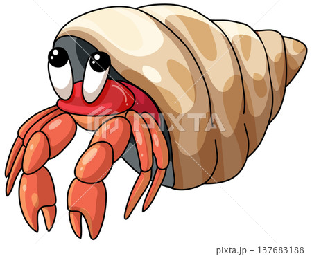 Cute Cartoon Hermit Crab Vector Illustration Isolated on White Background Cute Cartoon Hermit Crab Vector Illustration Isolated on White Background 137683188