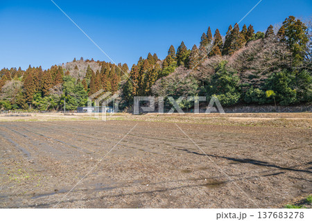 奥琵琶湖　山間の田園風景　滋賀県長浜市近江塩津 137683278
