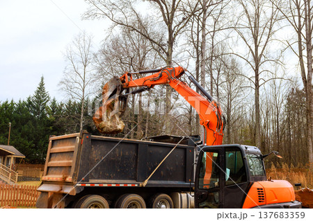 Heavy equipment removes large from backyard in residential area Heavy equipment removes large from backyard in residential area 137683359