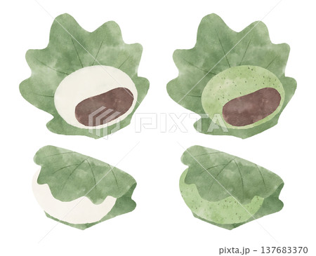 柏餅のイラストのセット　水彩風 137683370