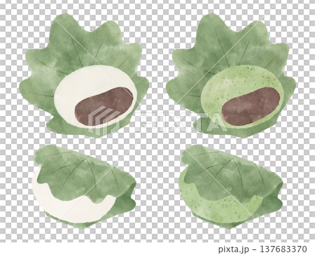 一組水彩風格的柏餅(用橡樹葉包裹的年糕)插圖。 一組水彩風格的柏餅(用橡樹葉包裹的年糕)插圖。 137683370