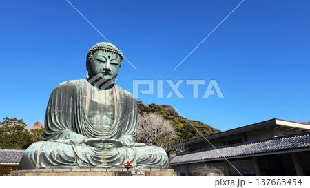 Great Buddha of Kamakura, Bronze statue of Amida Buddha located at Kotoku in Temple in Kamakura, Japan. 137683454