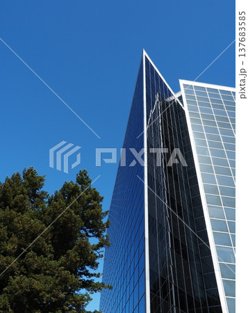 近未来的デザインのオフィスビルと青空 近未来的デザインのオフィスビルと青空 137683585