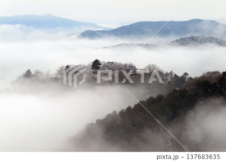 冬の雲海と備中松山城(天空の山城)25550 冬の雲海と備中松山城(天空の山城)25550 137683635