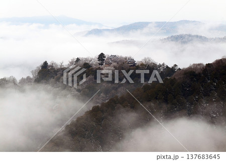 冬の雲海と備中松山城(天空の山城)25602 冬の雲海と備中松山城(天空の山城)25602 137683645