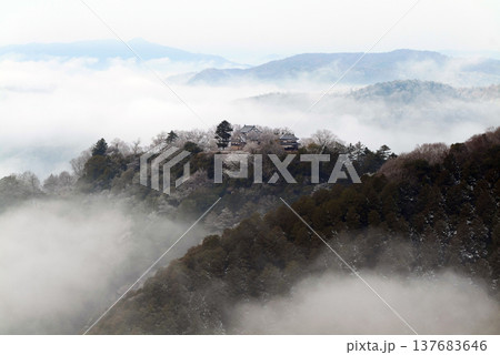 冬の雲海と備中松山城（天空の山城）25612 137683646