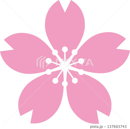 桜の花のイラスト。シンプルなフラットデザイン、春のアイコン、ロゴマーク、飾り、あしらい、装飾素材 137683743