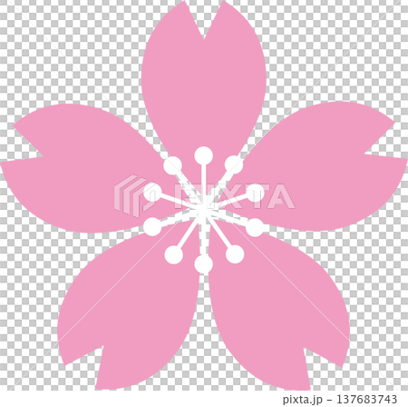 桜の花のイラスト。シンプルなフラットデザイン、春のアイコン、ロゴマーク、飾り、あしらい、装飾素材 137683743