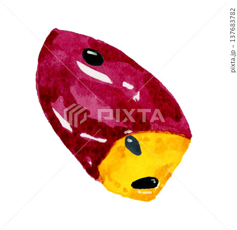大学芋(単品) 手描き水彩イラスト素材 大学芋(単品) 手描き水彩イラスト素材 137683782