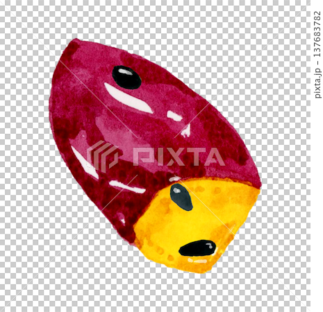 大学芋(単品) 手描き水彩イラスト素材 大学芋(単品) 手描き水彩イラスト素材 137683782