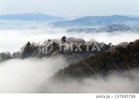 冬の雲海と備中松山城(天空の山城)25358 冬の雲海と備中松山城(天空の山城)25358 137683786