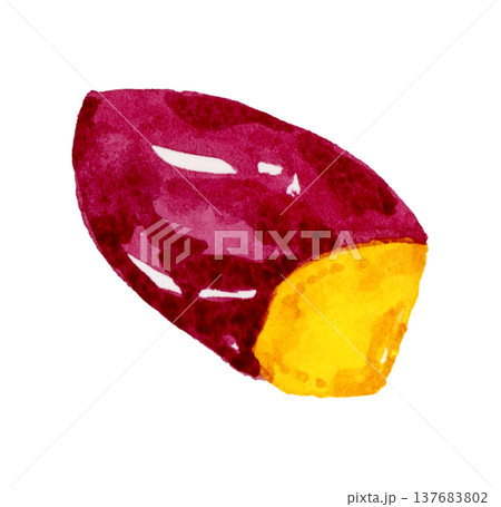 大学芋(単品) 手描き水彩イラスト素材 大学芋(単品) 手描き水彩イラスト素材 137683802