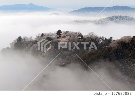 冬の雲海と備中松山城(天空の山城)25087 冬の雲海と備中松山城(天空の山城)25087 137683888
