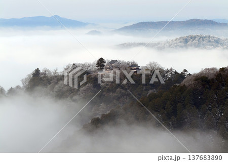 冬の雲海と備中松山城（天空の山城）25099 137683890