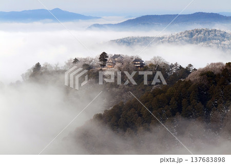 冬の雲海と備中松山城（天空の山城）25136 137683898